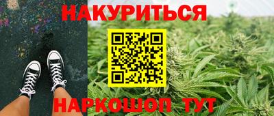 дмт Кингисепп