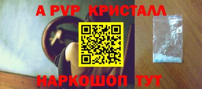 дмт Кингисепп