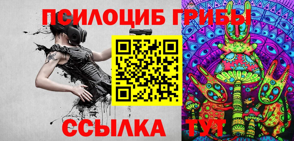 Галлюциногенные грибы Psilocybe Крымск