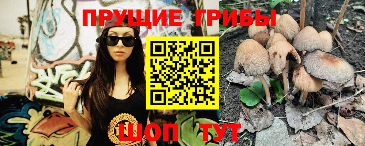 Галлюциногенные грибы Psilocybine cubensis  Вход с VPN  Крымск 